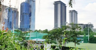 CoconutPark_01